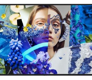 מסך תצוגה 43 אינץ - אופיקס מ.ש.ל בע"מ